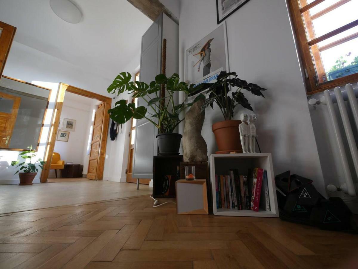 Good Mornings Apartment Cluj Napoca Bagian luar foto